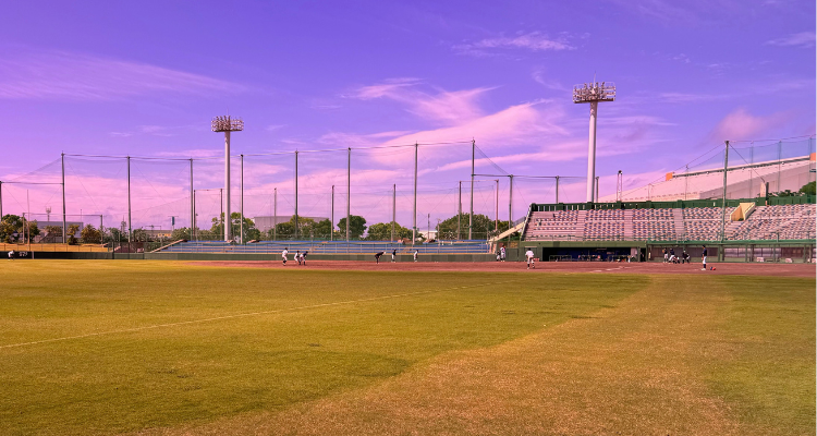 フィールドレンズで見た野球の風景